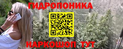 прущие крисы Конаково