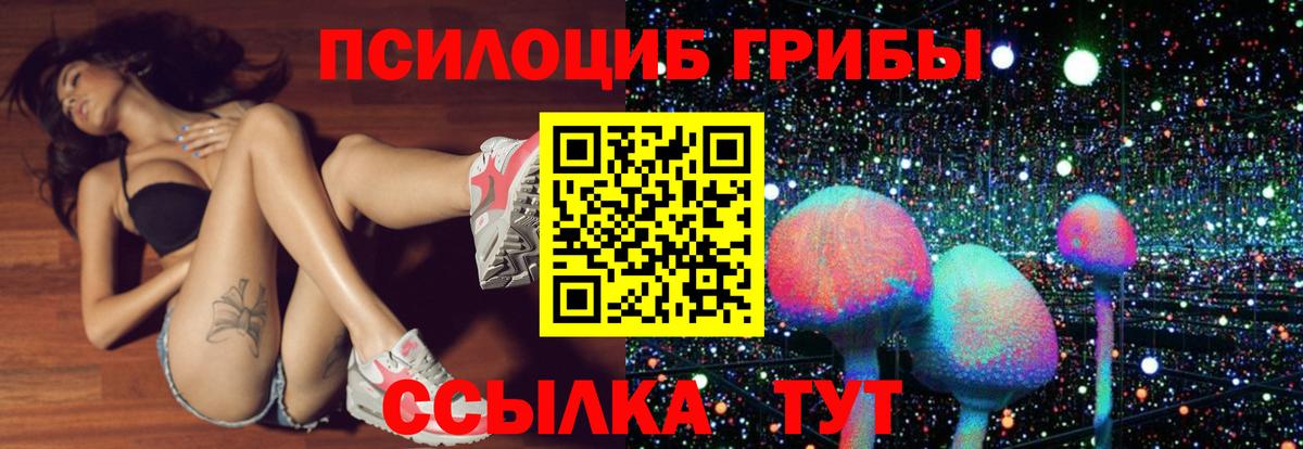 Кострома  Галлюциногенные грибы прущие грибы  Вход с VPN 