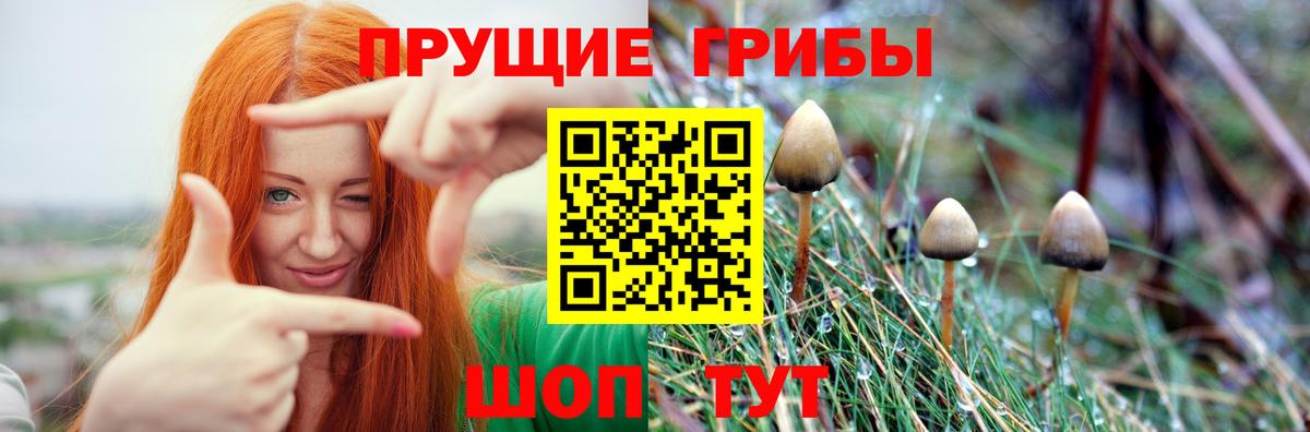 Галлюциногенные грибы прущие грибы Кострома
